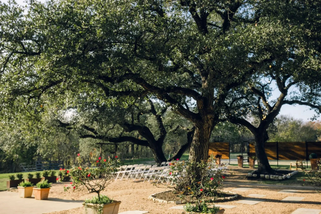 Oak trees on the grounds at Hidden Creek at StoneHaus wedding venue in Belton, Texas
